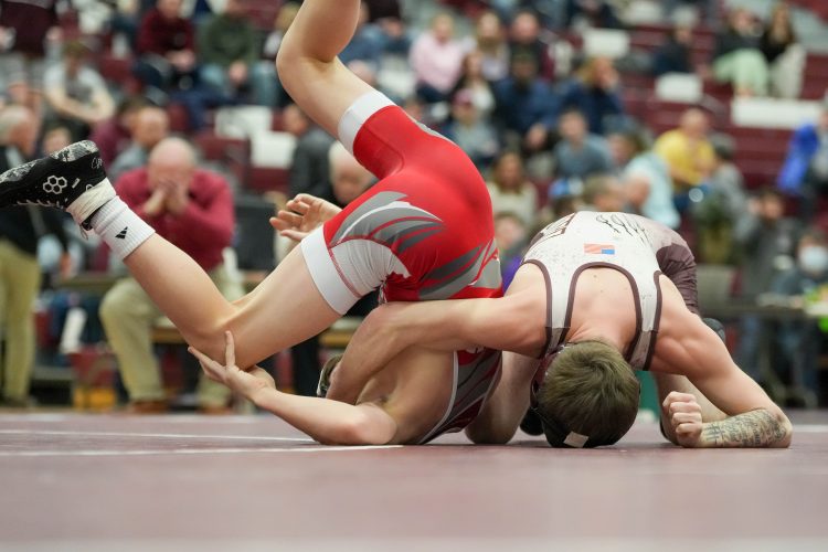 Seniors Hileman, Sleeth get first gold at districts